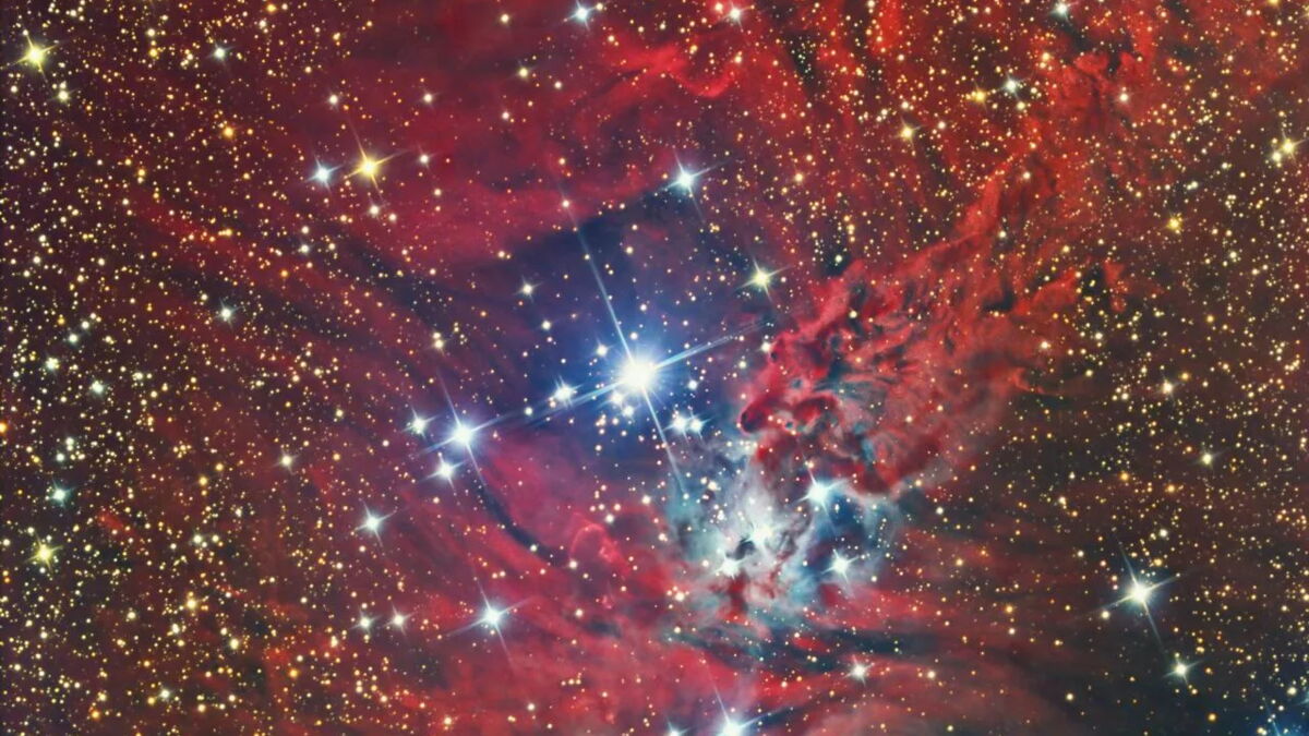 Cet "arbre de Noël" de l'Espace a été partagé par la NASA — free download