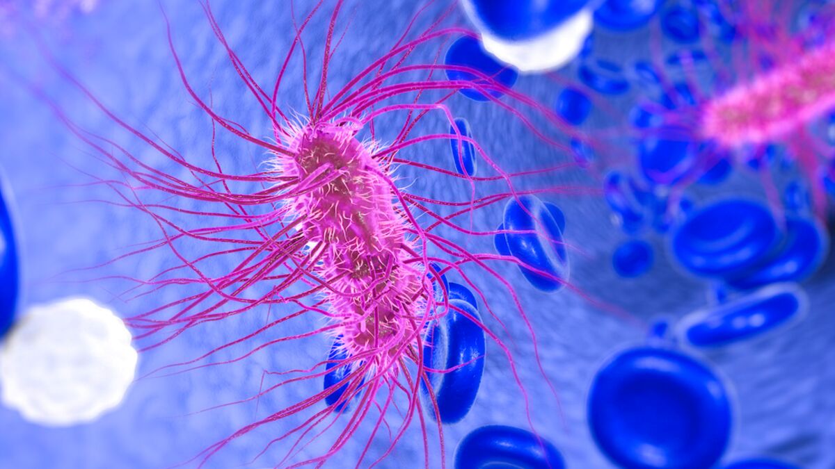 10 puissance 5 escherichia coli