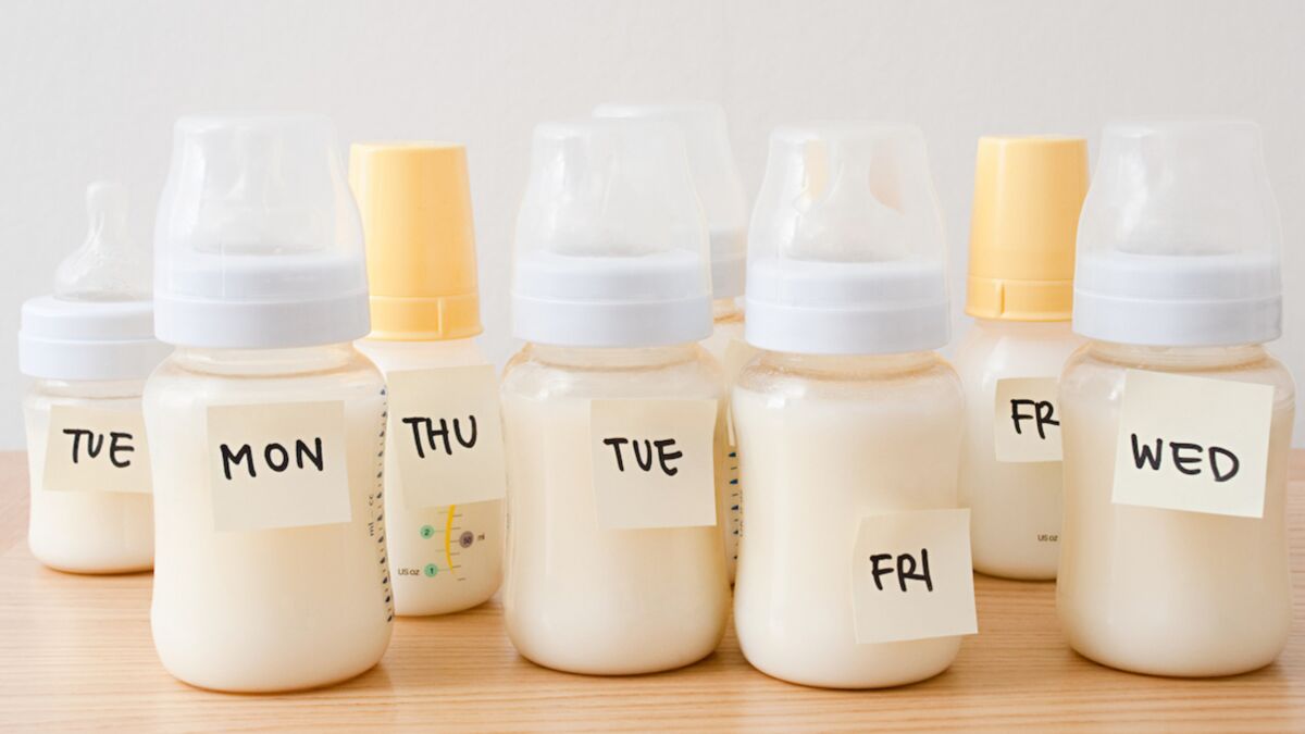 Conservation du lait humain : quelques études