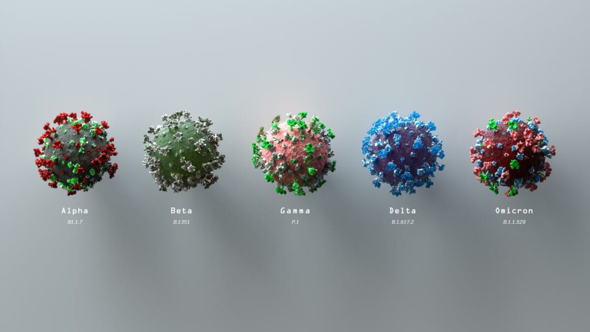 Retour Sur Tous Les Variants Covid Et Leurs Caractéristiques