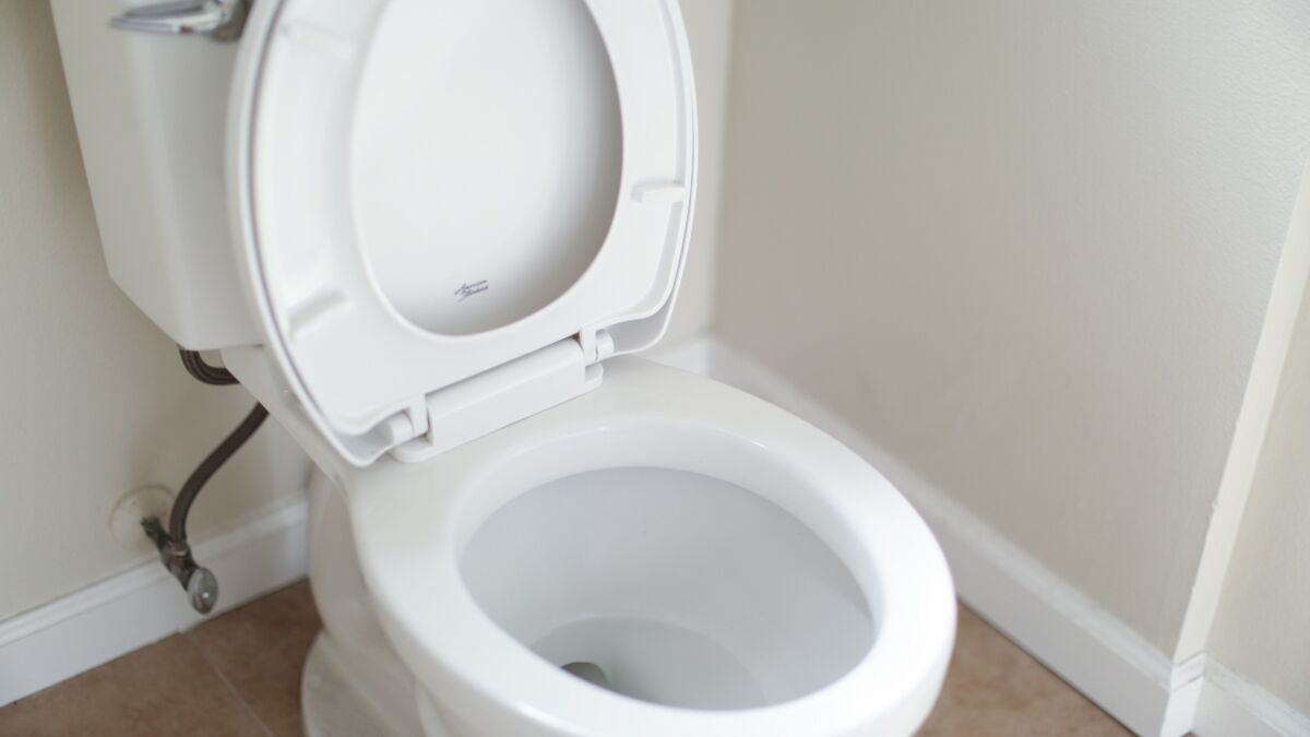 Pourquoi est-il important de baisser le couvercle des toilettes ? Une  expérience scientifique répond - Sciences et Avenir