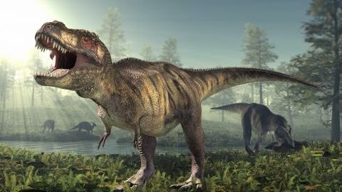 Pourquoi les T.rex n'ont que deux doigts - Sciences et Avenir