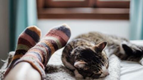 Les raisons pour lesquelles porter des chaussettes en laine