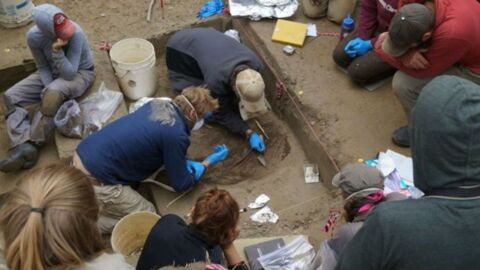Anciens Béringiens : l'ADN d'une petite fille vieille de 11 500 ans révèle un nouvel ancêtre