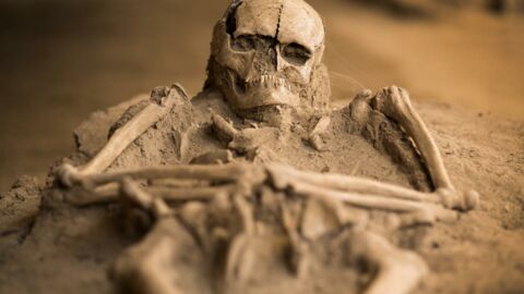 Découvert il y a 30 ans, ce squelette de "vampire" révèle ses secrets