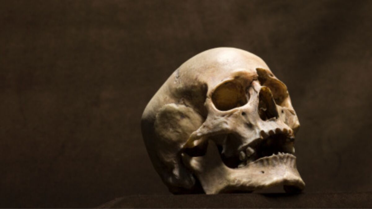 Des archéologues stupéfaits par cette particularité d'un crâne vieux de 2 000 ans