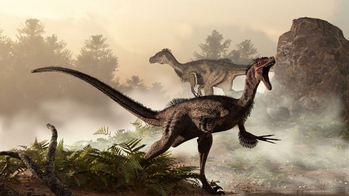 ¿Cómo es realmente un Megaraptor, uno de los 4 fósiles encontrados en Chile?