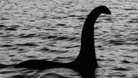 Monstre du Loch Ness : De l’ADN découvert dans le lac intrigue les scientifiques