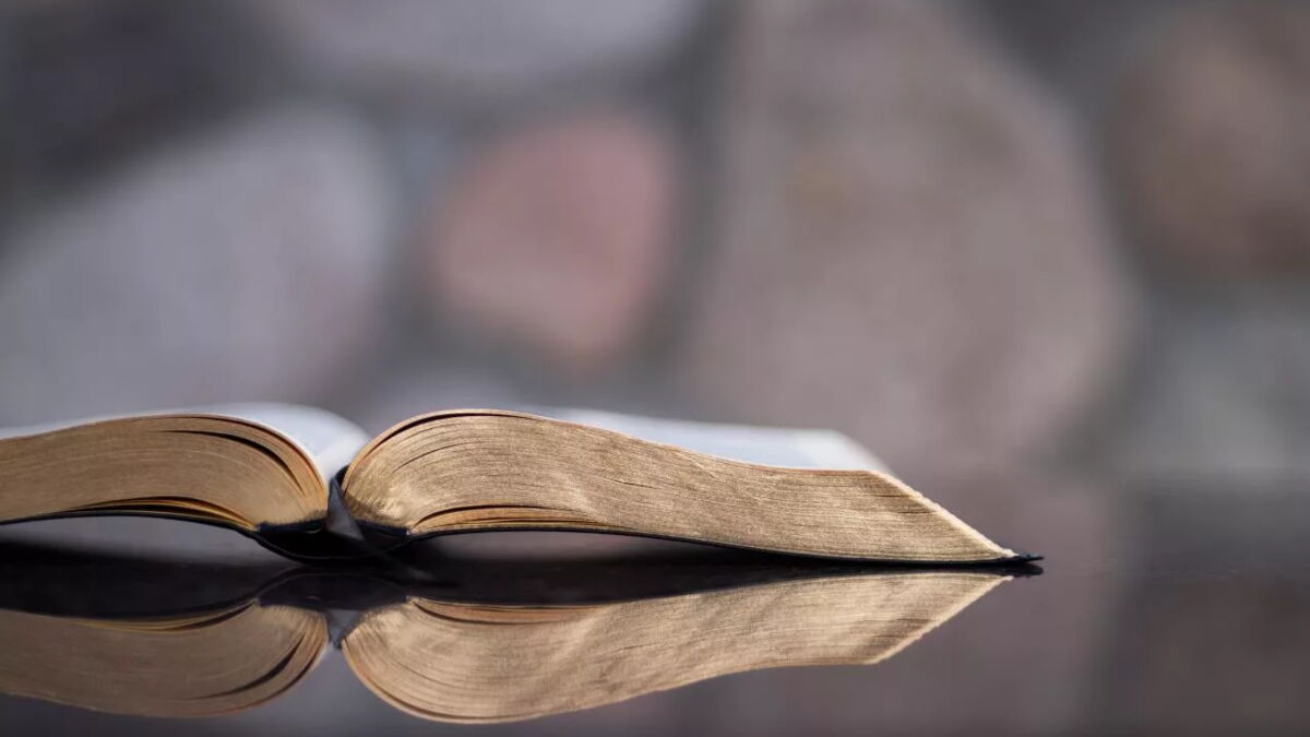 Quelle est la différence entre la Torah et la Bible