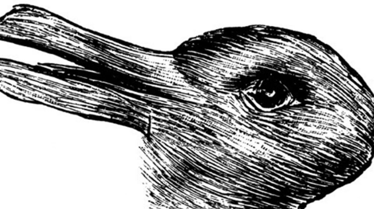 séance de travail sur le texte et l'image : les intentions de l'auteur Illusion-d-optique-lapin-ou-canard