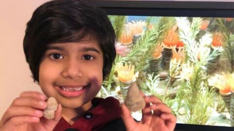 Angleterre : un garçon de 6 ans trouve un fossile de près de 500 millions d'années dans son jardin