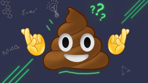 Pourquoi Dit On Merde Pour Se Souhaiter Bonne Chance