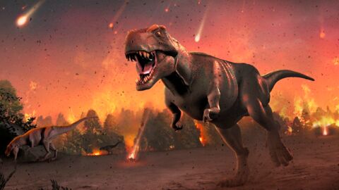 Et si l'astéroïde n'était pas responsable de la fin des dinosaures ?