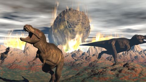 Les dinosaures auraient pu survivre si l'astéroïde s'était écrasé un peu plus tôt ou plus tard