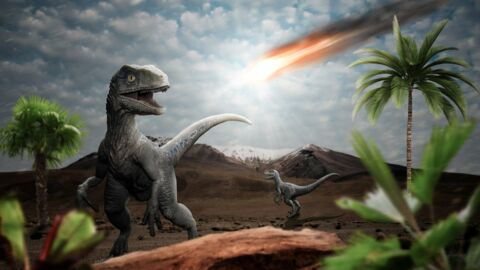 Comment la vie est (rapidement) revenue après l’extinction des dinosaures ?