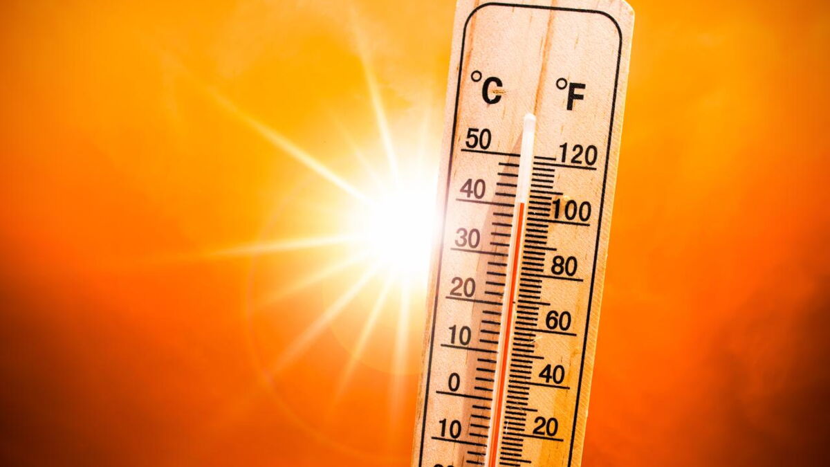 Canicule Ces 6 Fausses Bonnes Idees Qu Il Ne Faut Pas Suivre En Cas De Grosse Chaleur