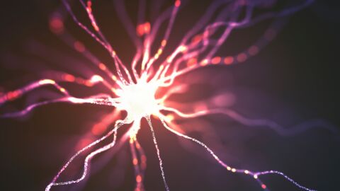Pour la toute première fois, des scientifiques créent des neurones artificiels