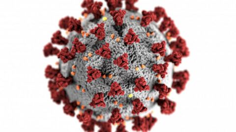 Coronavirus : une nouvelle souche détectée au Royaume-Uni inquiète