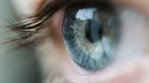 Thérapie génique : quelle est cette technique qui rend partiellement la vue aux aveugles ?