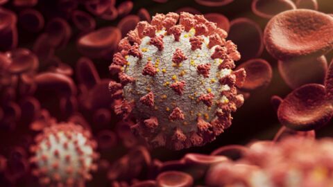Santé : des dizaines de milliers de virus encore inconnus découverts dans le caca humain
