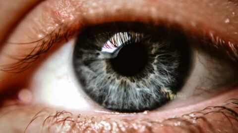 Oeil : plus votre pupille est grande, plus vous êtes intelligent ?