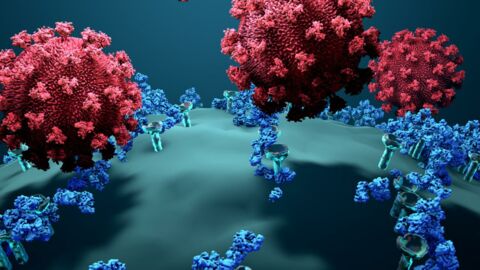 Covid-19 : une nouvelle molécule serait capable de freiner l’infection 