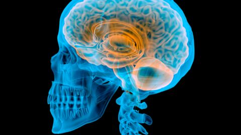 Cerveau : des "tsunamis cérébraux" mystérieux observés chez les humains juste avant la mort