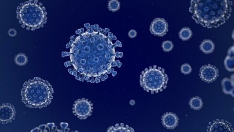 Coronavirus : le virus actuel serait plus infectieux que l’original