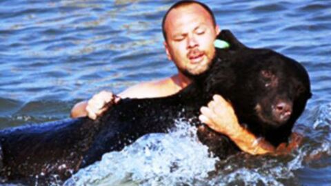 A Man Risked His Life To Save This Bear