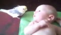 This Bird Greets A New Family Member In The Most Incredible Way