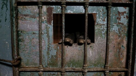 A Year After This Zoo in Buenos Aires Closes Down, The Animals Are Still Kept in Captivity