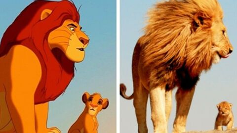 14 Of Our Favourite Animated Animals Brought To Life