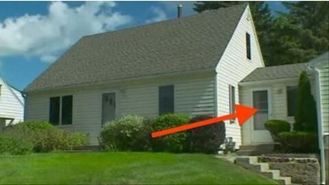 This Man Loved His Cats So Much He Made One Massive Change To His Home