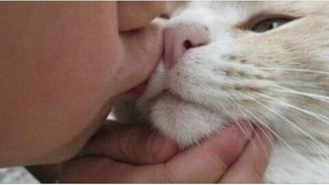 This Is Why Kissing Your Pet Could Be Seriously Dangerous