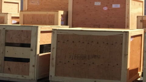 This Crate Containing Three Tiger Cubs Was Left Unopened In An Airport For A Whole Week