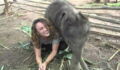 This Baby Elephant Loves Her Keeper So Much... What Happens Next Will Melt Your Heart
