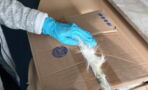German Customs Discovered Something Horrifying In This Package