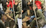 Pitbull Savagely Attacks Woman While Riding The New York Subway