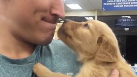 What This Puppy Does To His New Owner Will Melt Your Heart