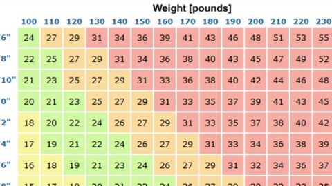 This Is The Most Effective Method Calculate Your Ideal Weight