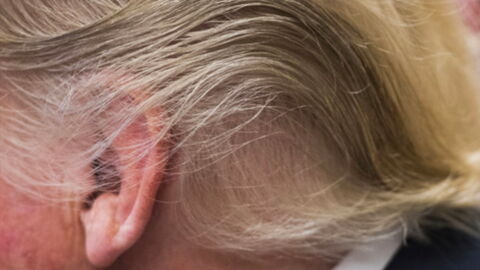 The Internet Sent Into Overdrive By Trump's New Haircut