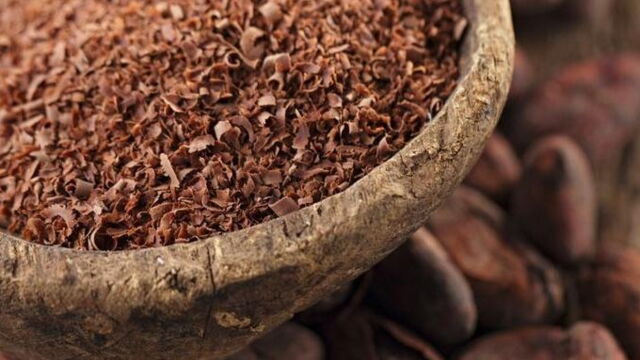 Photos : Ligue des Champions: Lyon, la bête noire du Real Madrid