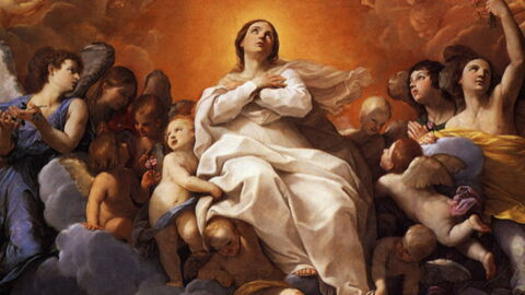 Everything You Need To Know About The Assumption Of Mary
