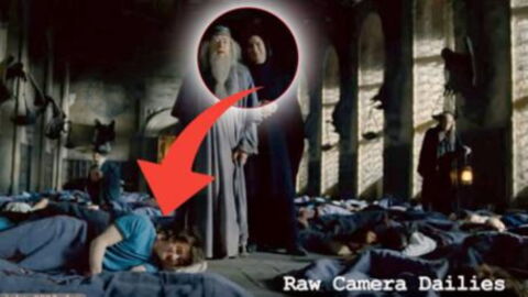 Alan Rickman Once Played This Hilarious Prank On Daniel Radcliffe Whilst Filming Harry Potter