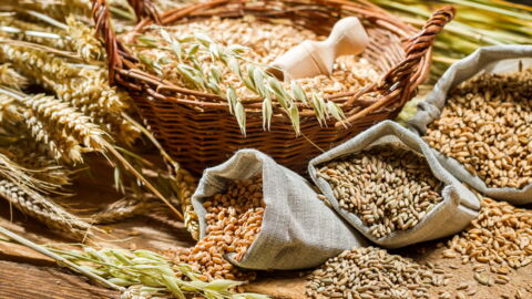 Top 10 Foods With High-Fibre
