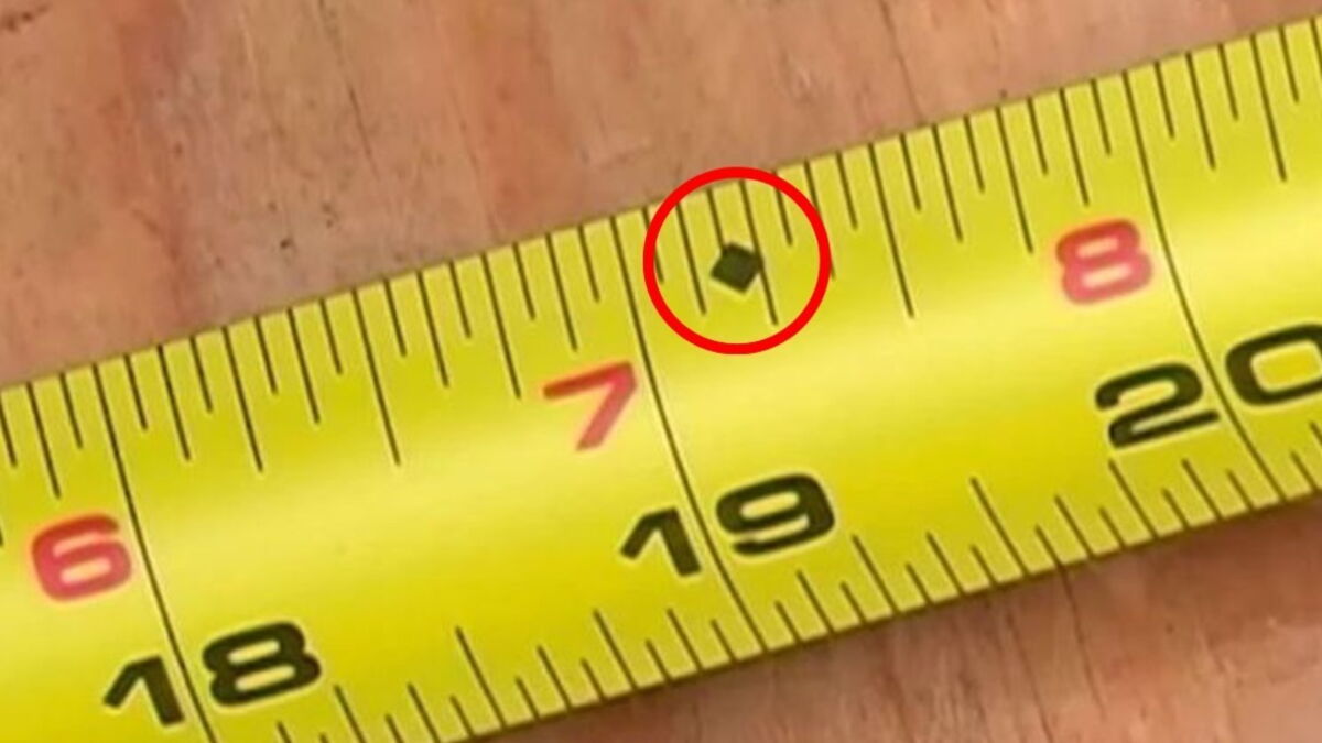 Here's Why The Little Black Diamonds Are Useful