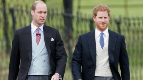 A Royal Expert Believes Harry And William Are Growing Apart... And It Could Be Down To Meghan Markle