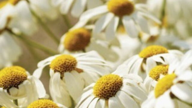 Photos : Graz : l'un des arsenaux les plus grands d'Europe