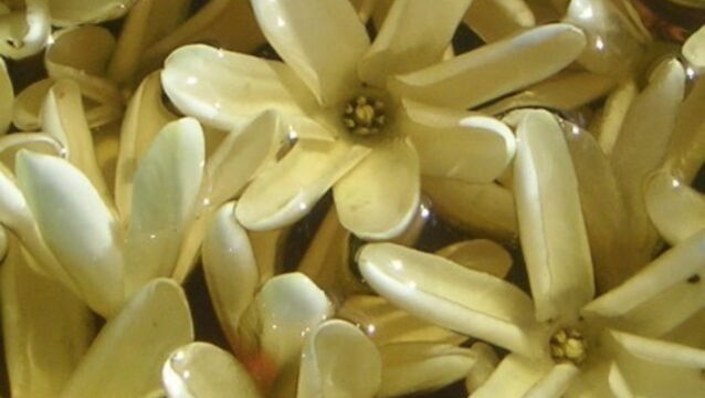 Photos : Graz : l'un des arsenaux les plus grands d'Europe