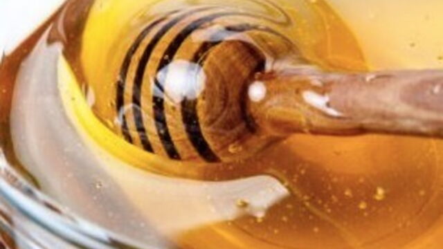 Photos : Graz : l'un des arsenaux les plus grands d'Europe